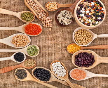 WHAT ARE THE LEGUMES?