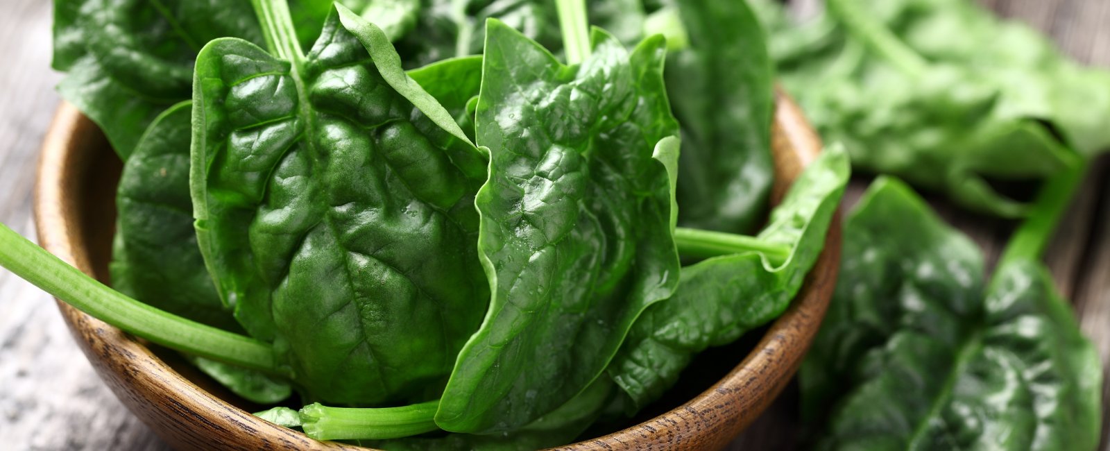 BASIC INFORMATION ABOUT SPINACH