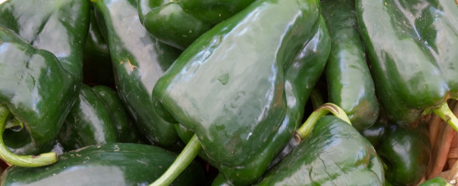 DISCOVER THE 5 MAIN BENEFITS OF POBLANO PEPPER