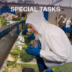 SPECIAL TASK
